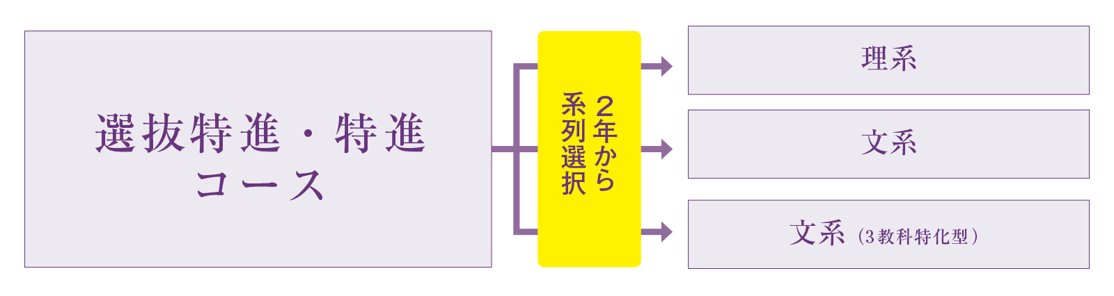 コースについて
